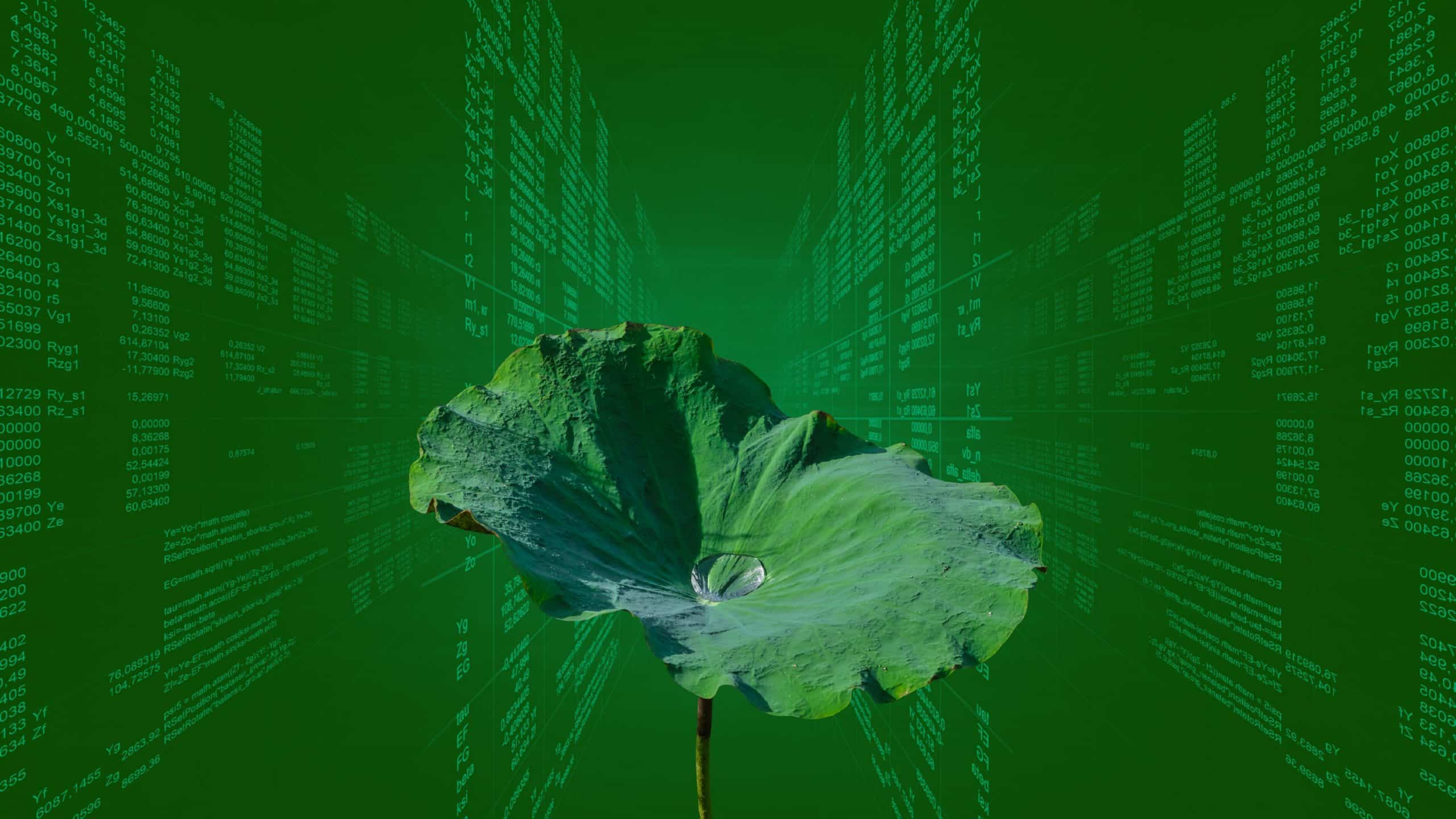 green coding